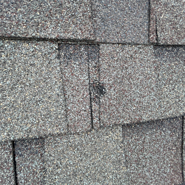 Adobe Express - file (1)