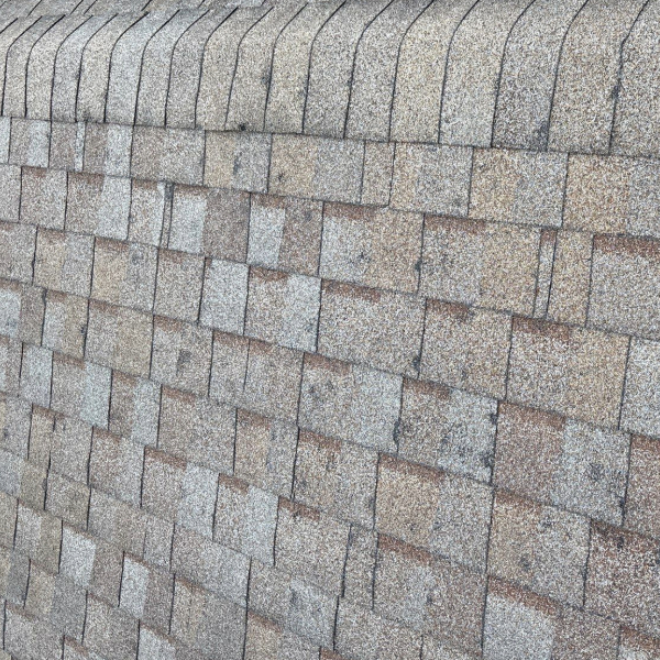 Adobe Express - file (2)