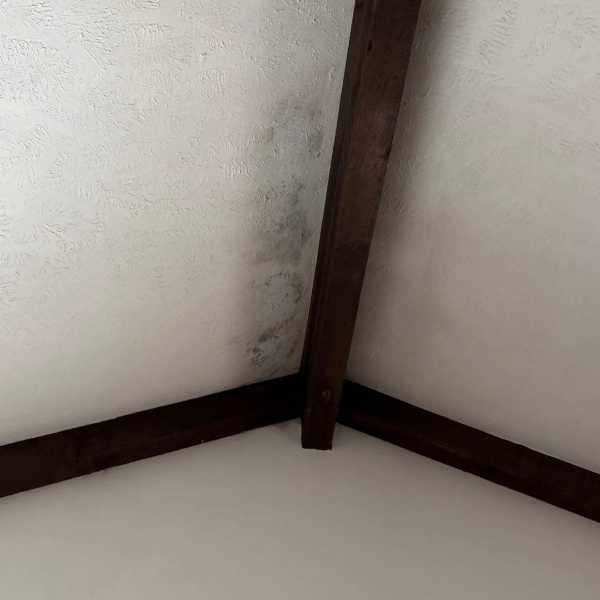 Adobe Express - file