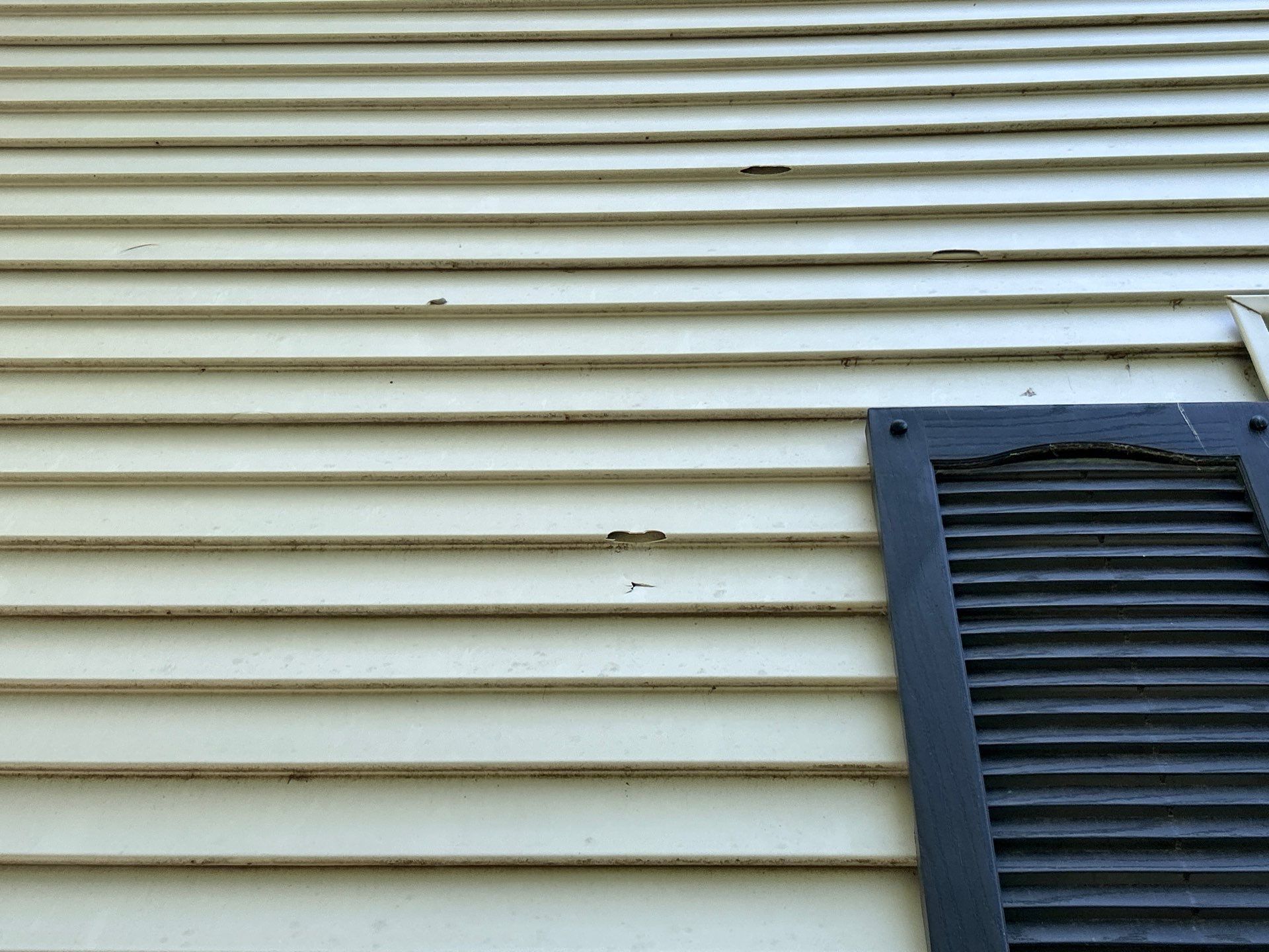 Small Siding Problems That Can Turn Into Expensive Repairs